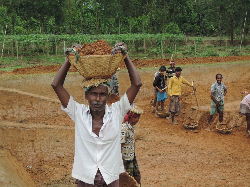 Campagne, Bangladesh