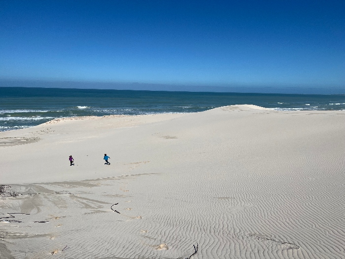 De Hoop Dune