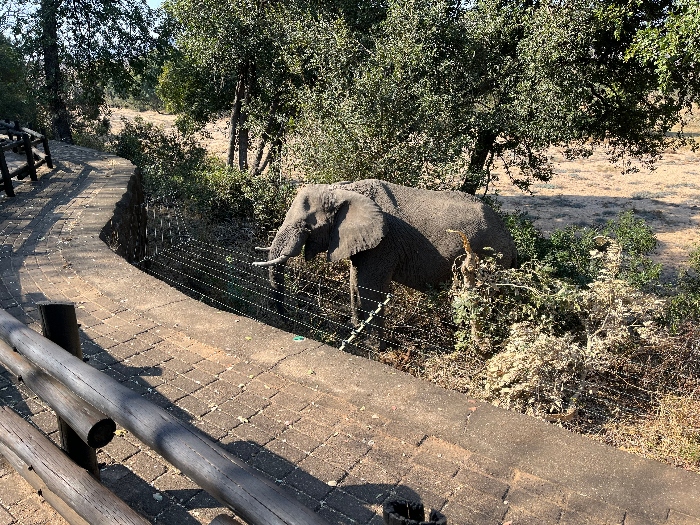 Kruger, Berg en Dal Rest Camp